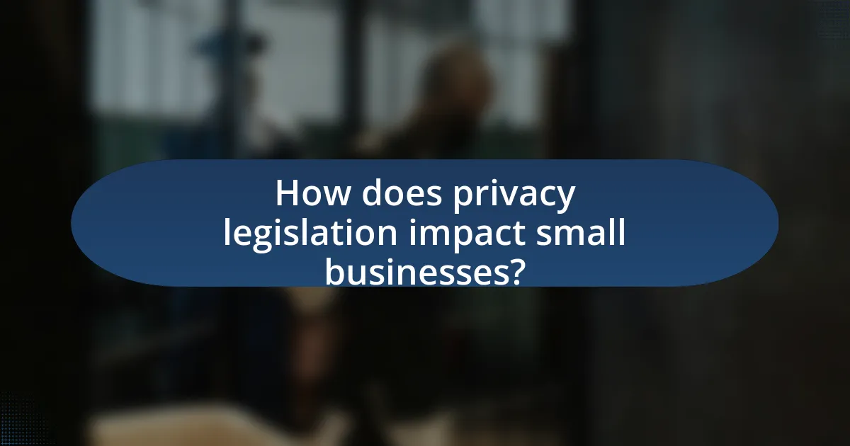 How does privacy legislation impact small businesses?