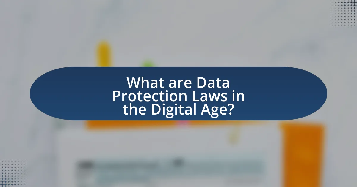 What are Data Protection Laws in the Digital Age?