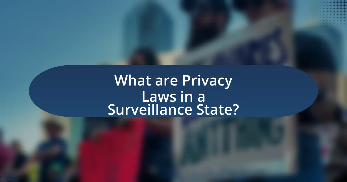 What are Privacy Laws in a Surveillance State?