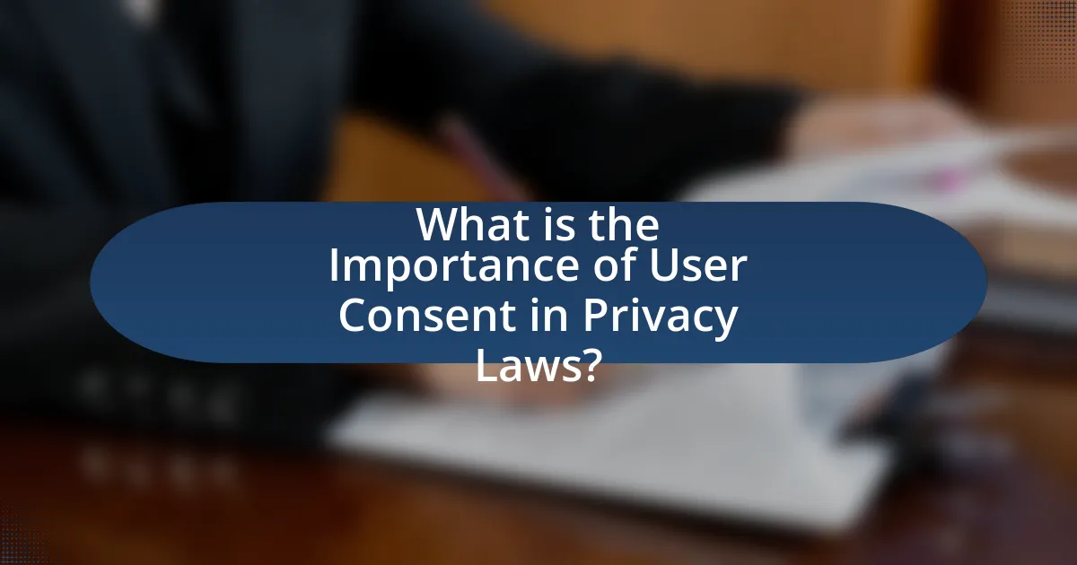 What is the Importance of User Consent in Privacy Laws?