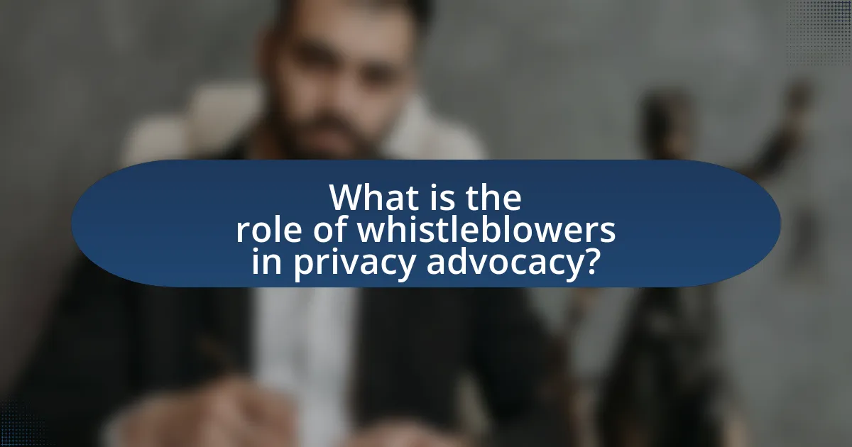What is the role of whistleblowers in privacy advocacy?